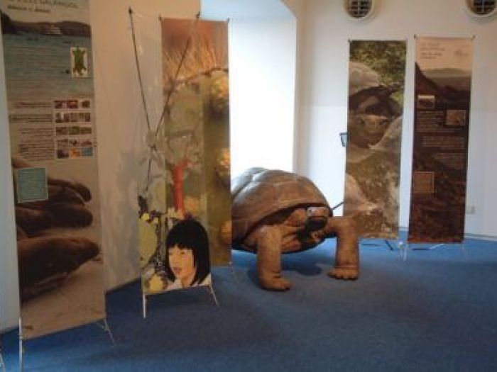 Archisio - Leolab - Progetto Minidarwin