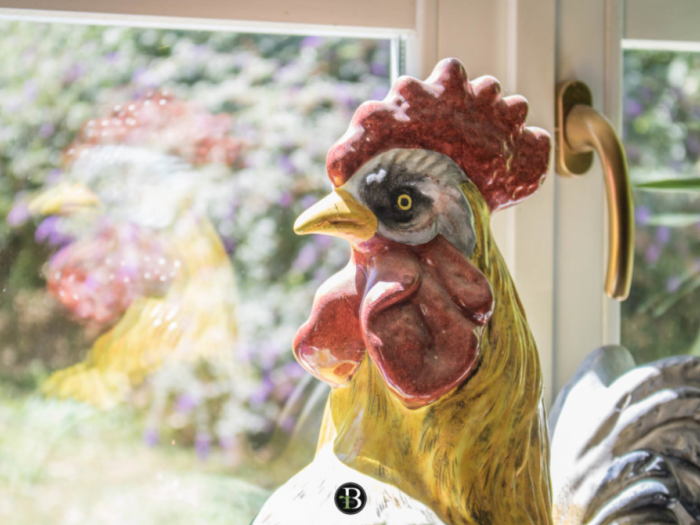 Archisio - Roberta Bossolasco - Progetto Beatrice