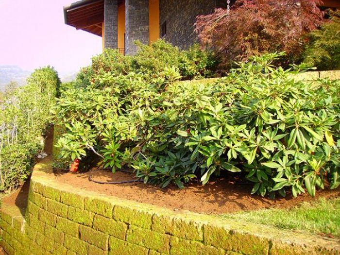 Archisio - Rizzi Giardini - Progetto Giardino con muretti in tufo