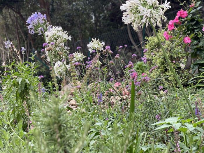 Archisio - Claudia Dibbe Piazza - Progetto Villa bianca