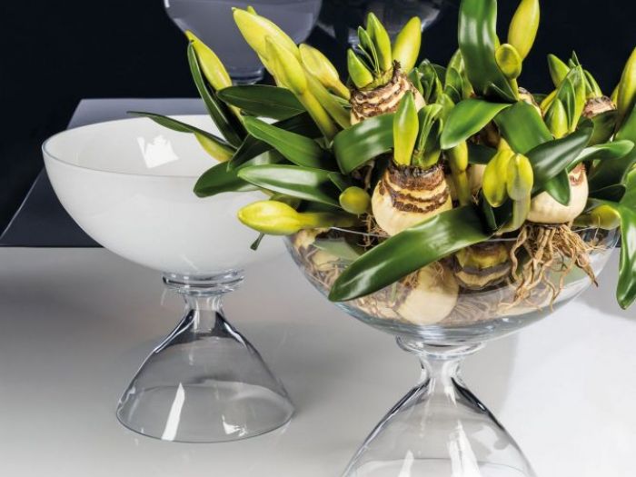 Archisio - Jupiter International srl - Progetto Set arrangement - composizioni floreali