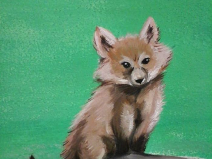 Archisio - Alessandra Arrigoni - Progetto Cameretta bosco stile animato