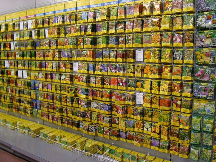 Archisio - Greenhuseitaliasrl - Progetto Assortimento