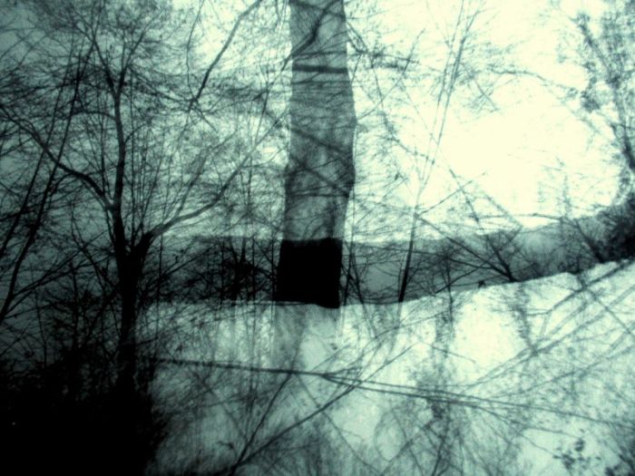 Archisio - Testadilegno - Progetto Foto