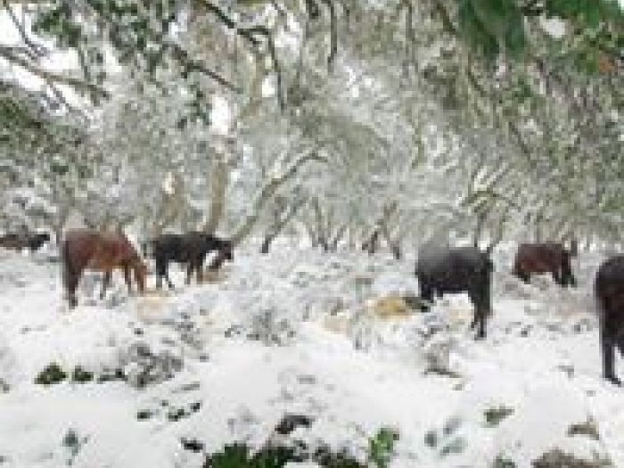 Archisio - Alessandro Corongiu Fotografia - Progetto Giara sotto la neve