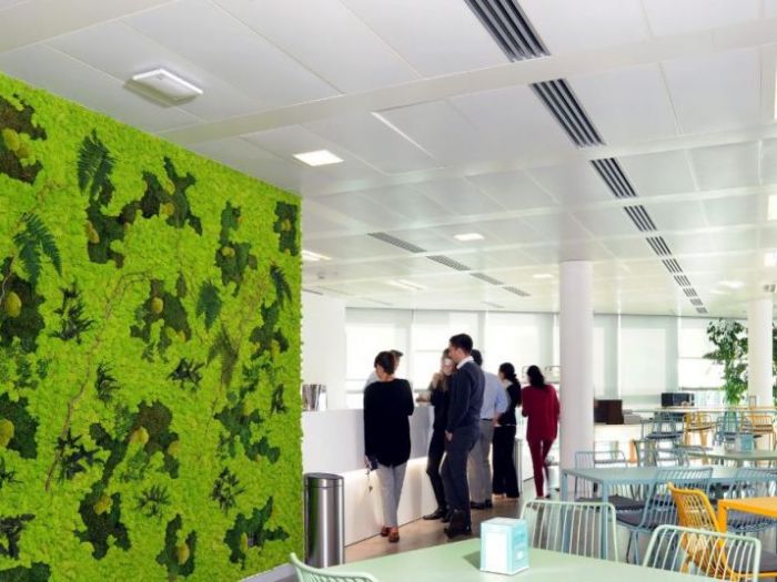 Archisio - Verde Passione - Progetto Pareti quadri vegetali