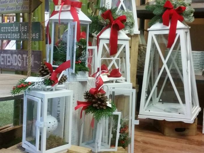 Archisio - Massarroni - Vivai Piante - Garden - Progetto Vivai e piante