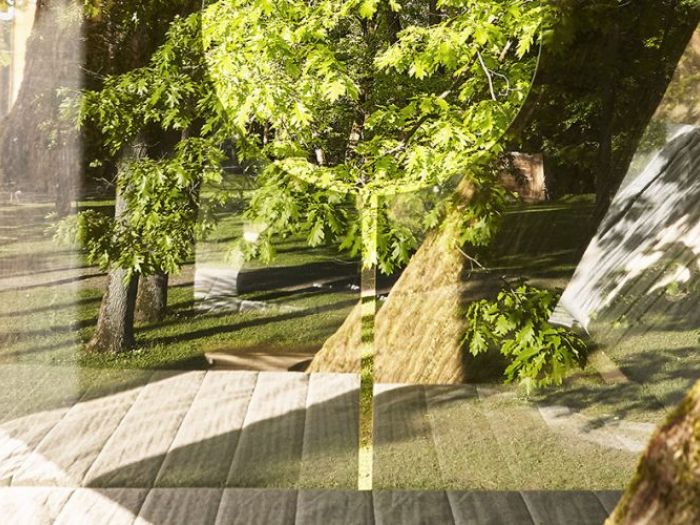 Archisio - Caf Meticcio Studio Dedign - Progetto Casa sullalbero