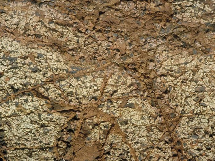 Archisio - Enrico Cano Fotografo - Progetto Essenza