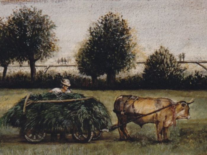 Archisio - Tiwiyu Di Anfossi Valeria - Progetto Trompe loeil