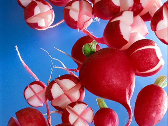 Archisio - Patrizia Savarese - Progetto Fotografia