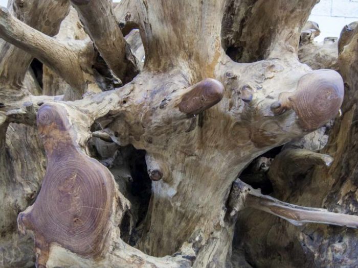 Archisio - Bambu Design - Progetto Stock e magazzino