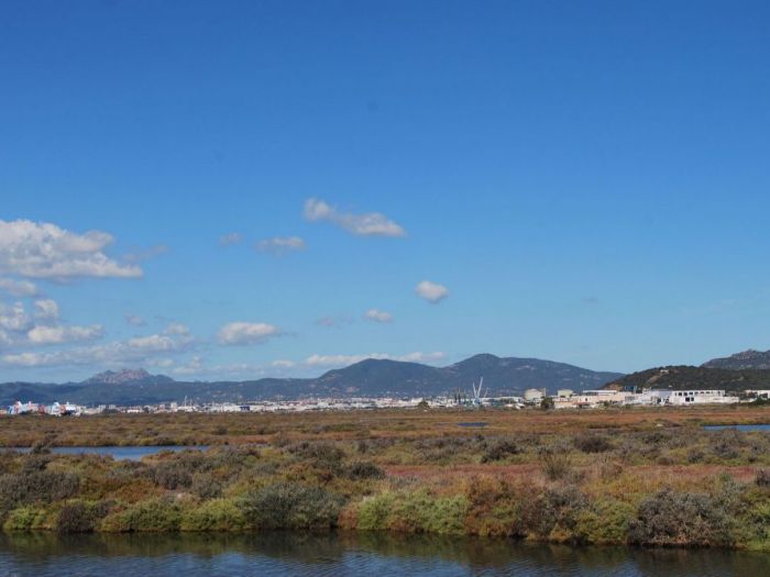 Archisio - Alfonso Califano - Progetto Olbia enercliama 2050