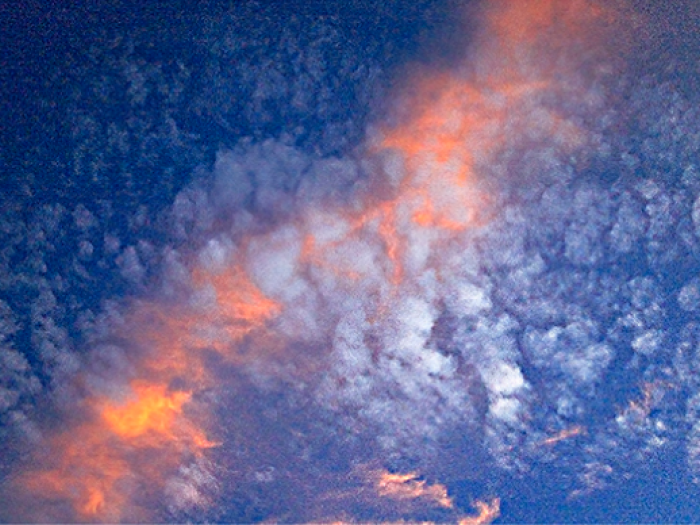 Archisio - Patrizia Savarese - Progetto Fotografia