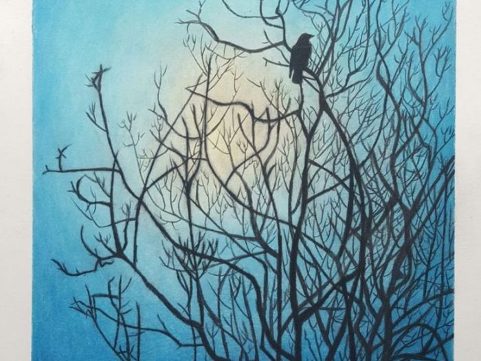 Archisio - Alessio Vandini - Progetto Portfolio