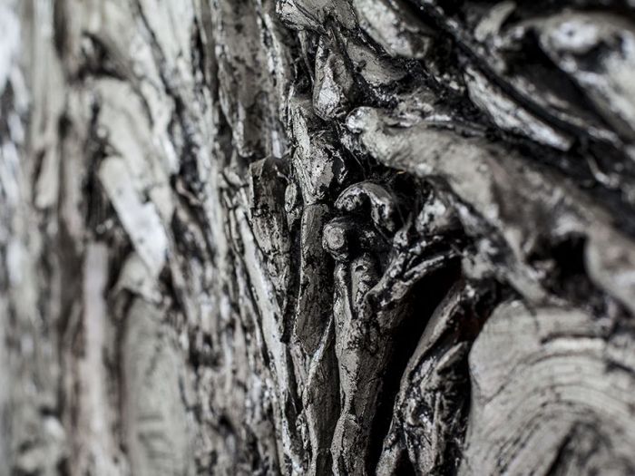 Archisio - Bau Design - Progetto Pavone