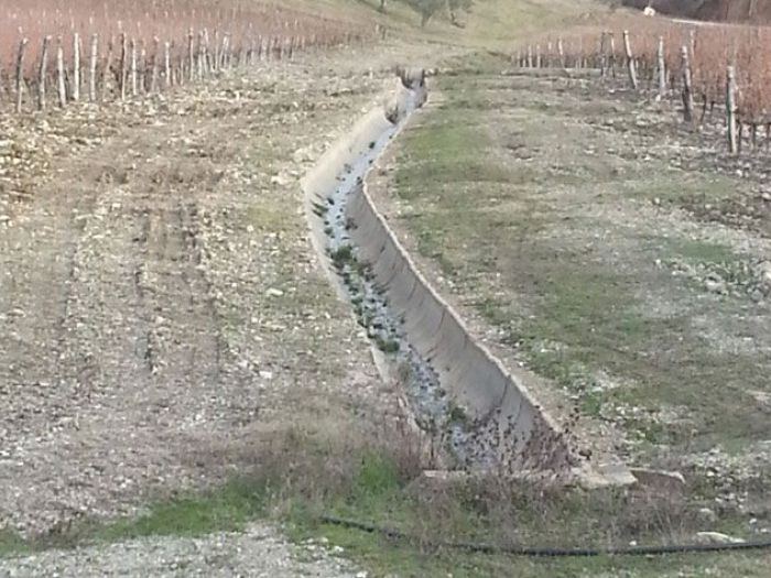 Archisio - Impresa Edile Sandrelli Paolo - Progetto Movimento terra