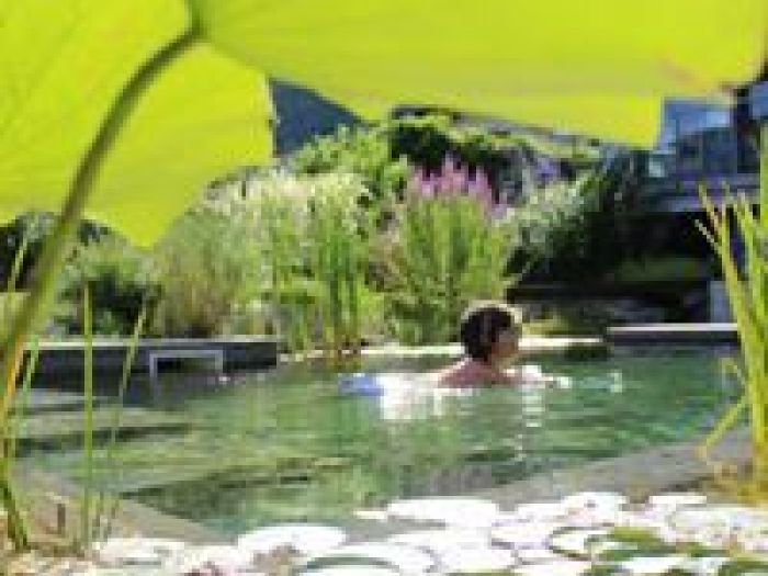 Archisio - Arqtropa Studio - Progetto Piscine naturali e vegetazione acquatica