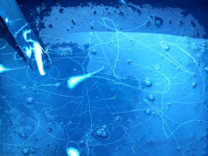 Archisio - Marco Quagliatini - Progetto Stelle di calici