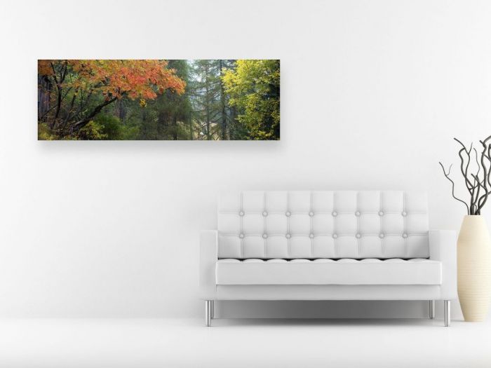 Archisio - Stevephoto Di Stefano Venturini - Progetto Arredo locali living