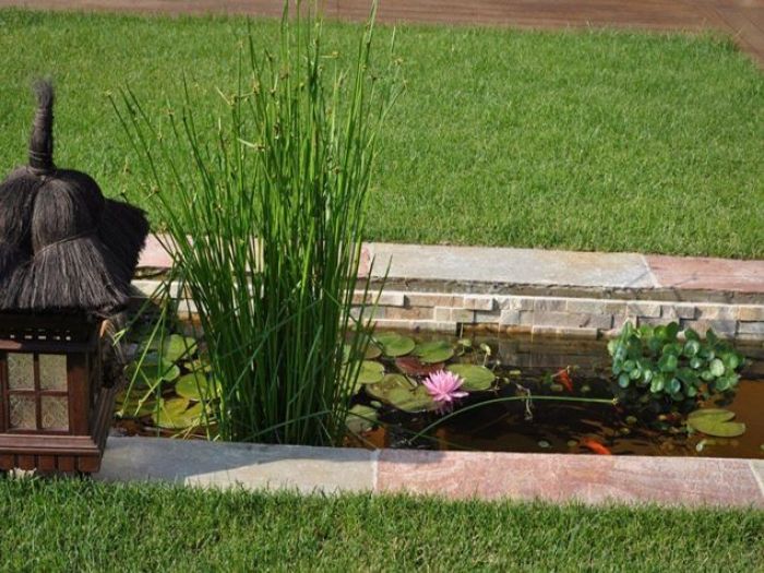 Archisio - Rizzi Giardini - Progetto Giardino con vasca dacqua