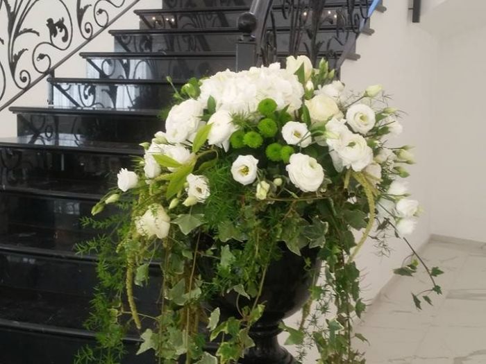 Archisio - Massarroni - Vivai Piante - Garden - Progetto Vivai e piante