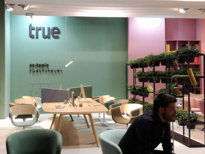 Archisio - Anna Claudia Bufo - Progetto Design