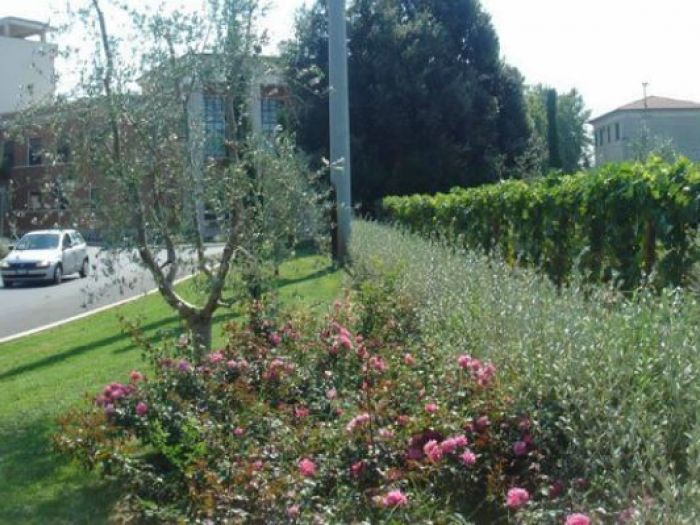 Archisio - Open Space Projects - Progetto Rotatoria pza lamarmora