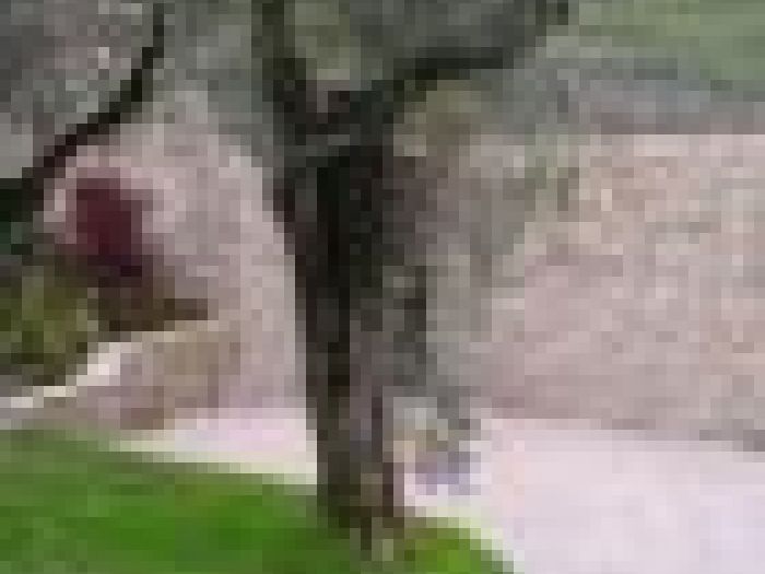 Archisio - Pietranova - Progetto Rivestimenti in pietera