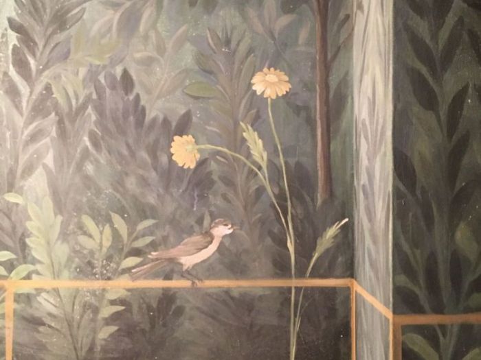 Archisio - Vania Muretto - Progetto Decorazione pittorica D interni