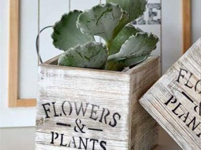 Archisio - Vivai Flli Zanella Srl Antica Sede - Progetto Piante rare