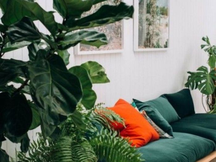 Archisio - Dotto Francesco Consulting Green - Progetto Crea ambiente salubre interno