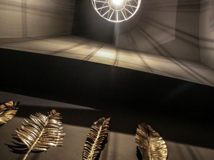 Archisio - Design Project - Progetto Fico moro