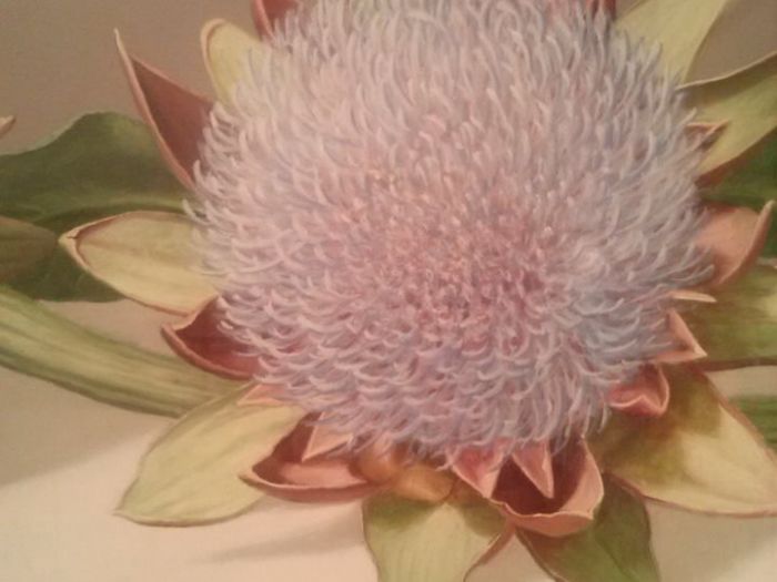 Archisio - Donatella Vincenzi - Progetto Decorazione