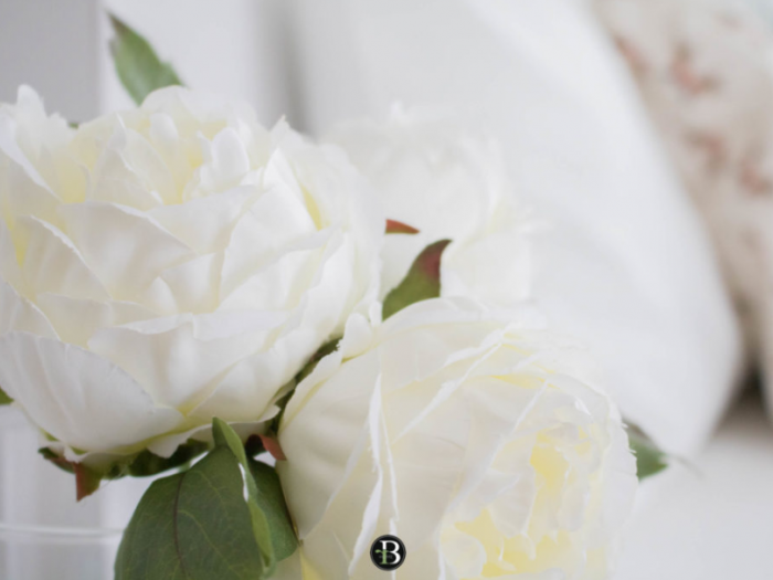 Archisio - Roberta Bossolasco - Progetto Alba