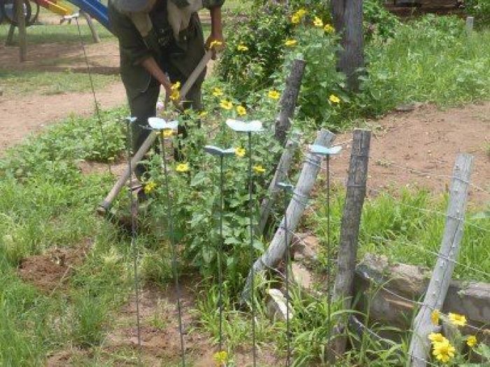 Archisio - Elisabetta Fermani - Progetto Un frutteto in permacultura