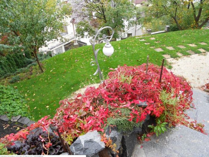 Archisio - Architetto Del Paesaggio Designer Del Verde - Progetto Giardino privato 2