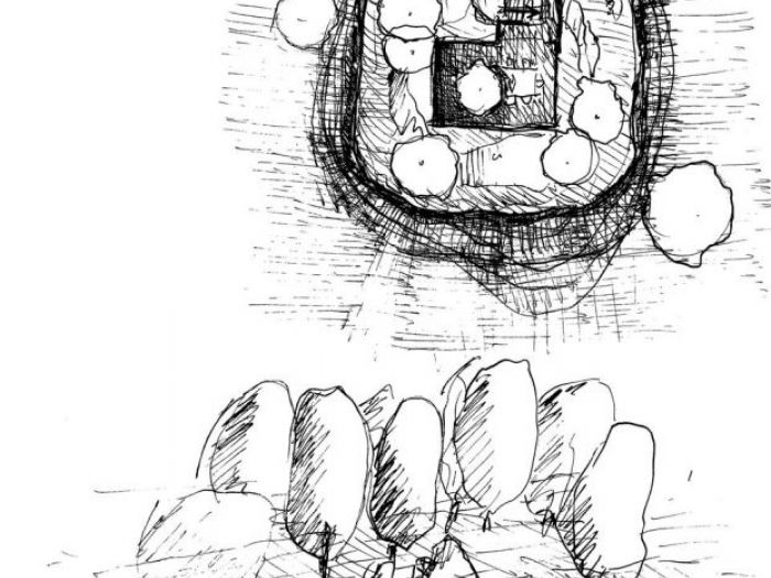 Archisio - Noa Network Of Architecture - Progetto Edersee from roots to crowns