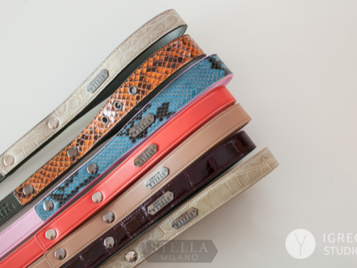 Archisio - Igreg Studio - Progetto Still life