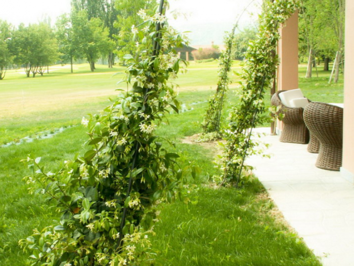 Archisio - Enrico Girardi - Progetto Golf club cherasco