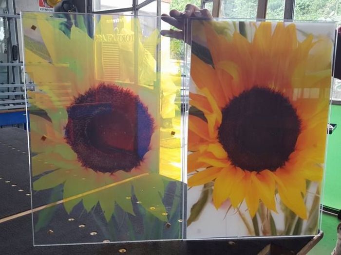 Archisio - Tortoglass - Progetto Vetri disegnati e colorati