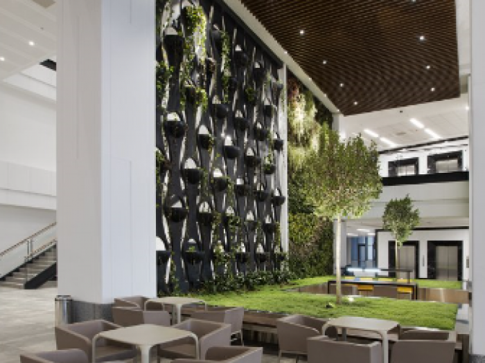 Archisio - Metex Design Group - Progetto Medipol university kavack