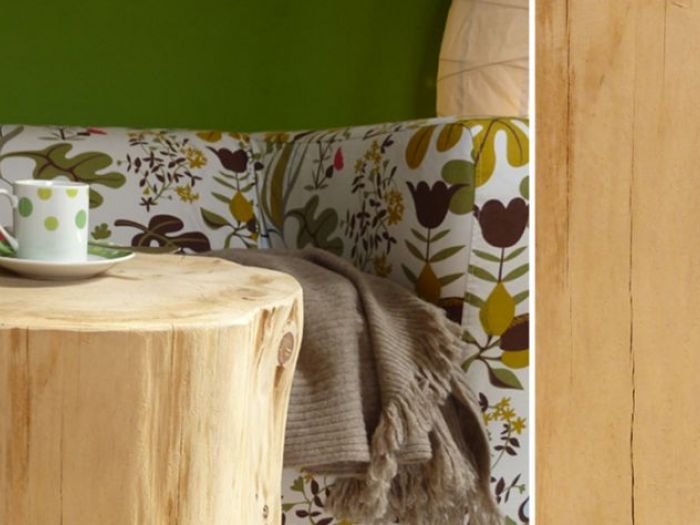 Archisio - Rifo - Progetto La casa dellerborista