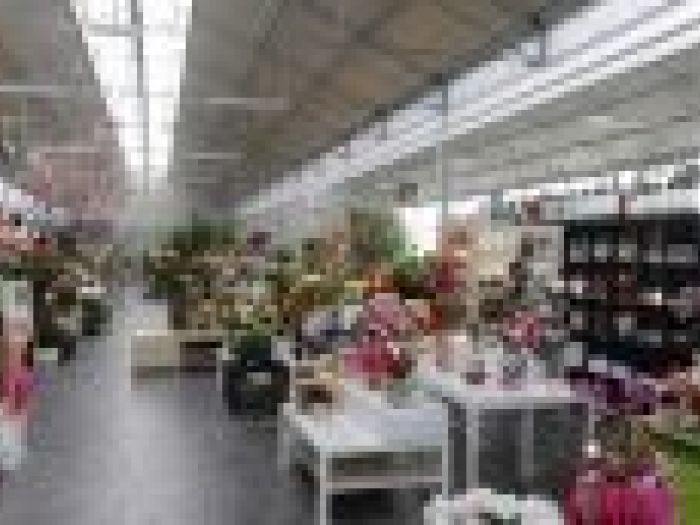 Archisio - Piante Macri - Progetto Il garden