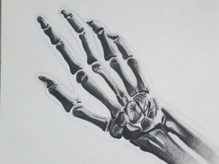 Archisio - Alessio Vandini - Progetto Portfolio