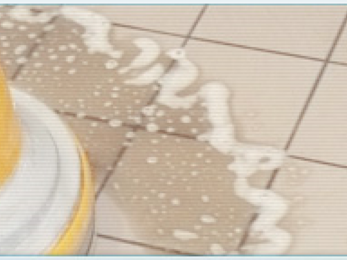 Archisio - La Magica - Progetto Sgrossature