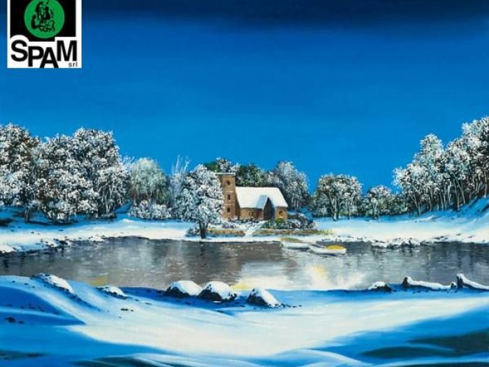 Archisio - Abilityart Larte Diversamente Abile - Progetto Riproduzioni su tela 58-85