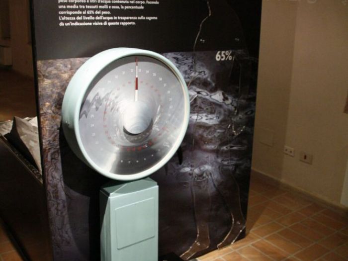 Archisio - Leolab - Progetto tutta lacqua del mondo exhibits