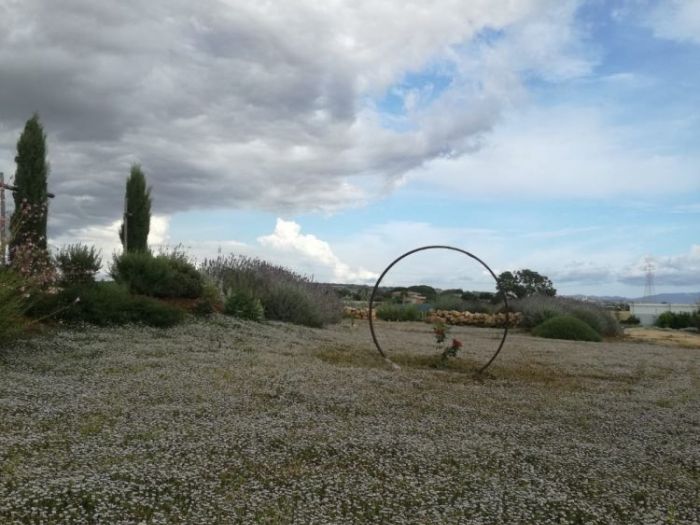 Archisio - Vivaio 983 Piante Mediterranee - Progetto Paesaggio