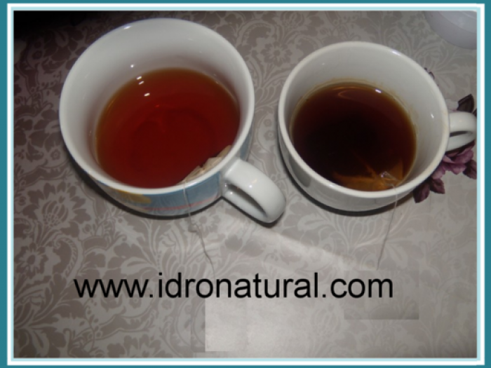 Archisio - Hydronatural - Progetto The